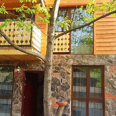 Levani'S Cottage Боржоми Екстериор снимка