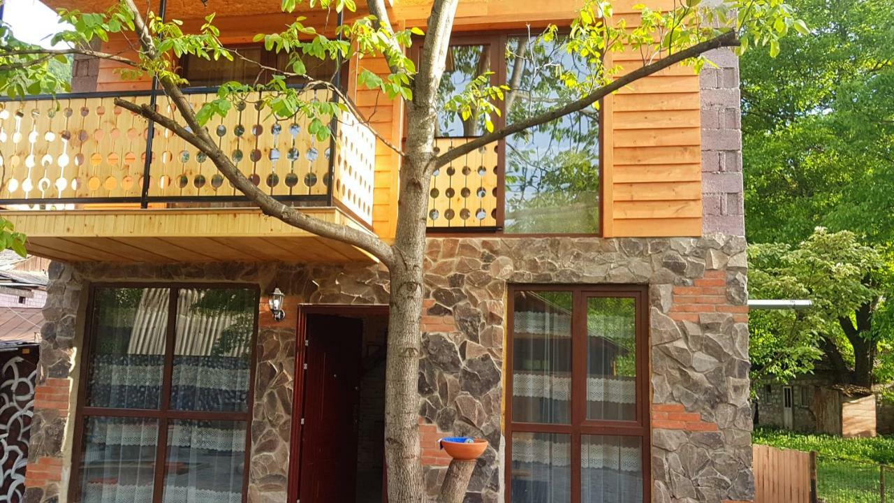 Levani'S Cottage Боржоми Екстериор снимка