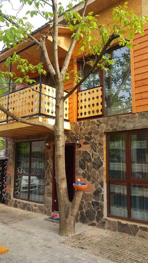 Levani'S Cottage Боржоми Екстериор снимка