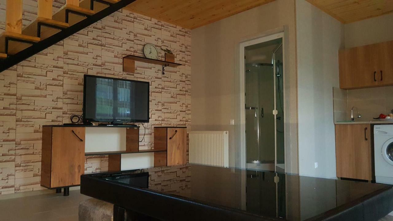 Levani'S Cottage Боржоми Екстериор снимка
