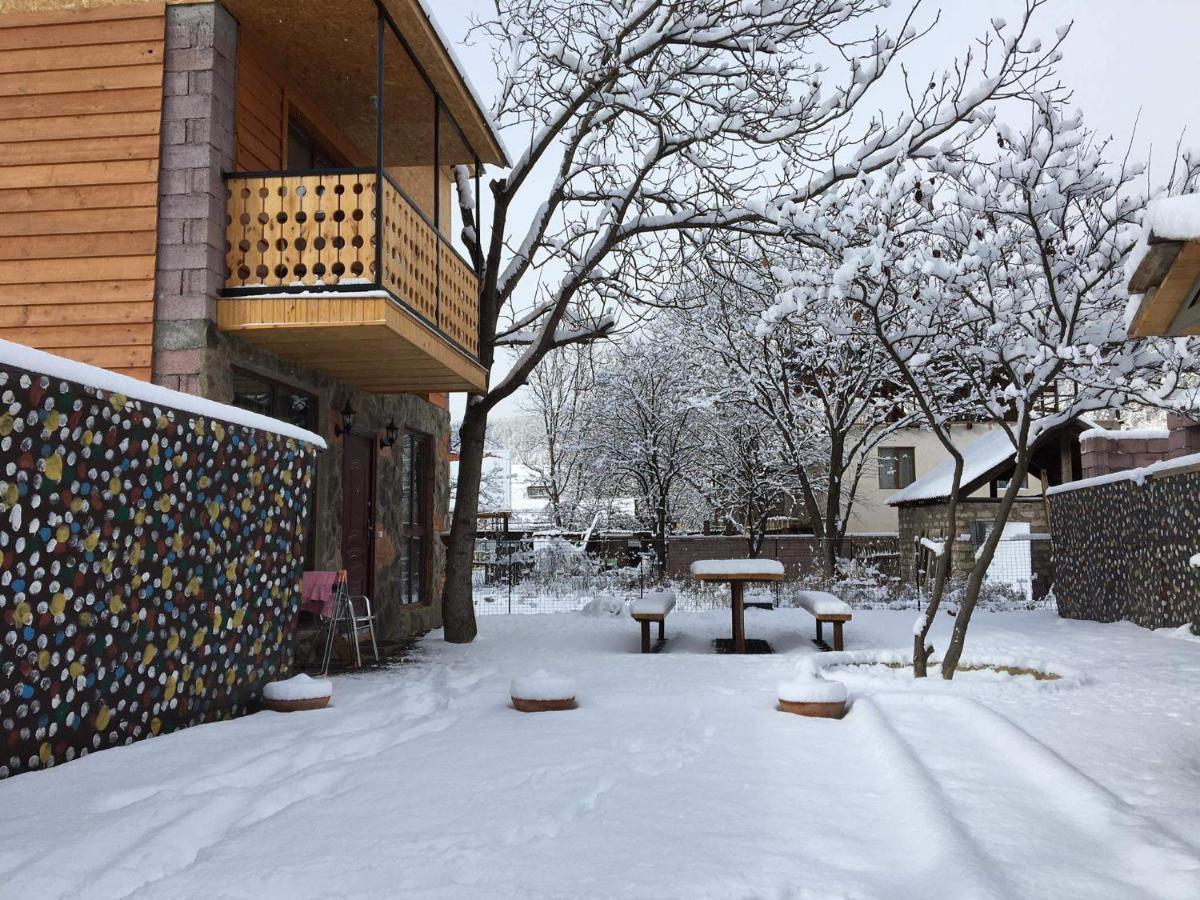 Levani'S Cottage Боржоми Екстериор снимка